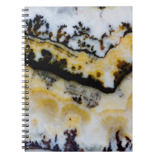 Carnet Onyx à dentelle d'argent (Devant)