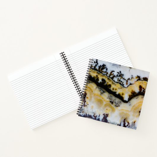 Carnet Onyx Lace d'Argent (Intérieur)