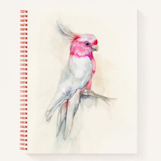 Carnet Opera Cockatoo (Devant)