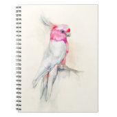 Carnet Opera Cockatoo (Devant)