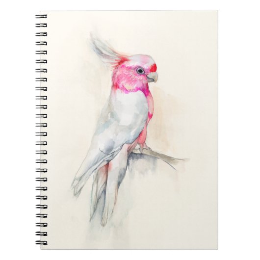 Carnet Opera Cockatoo (Devant)