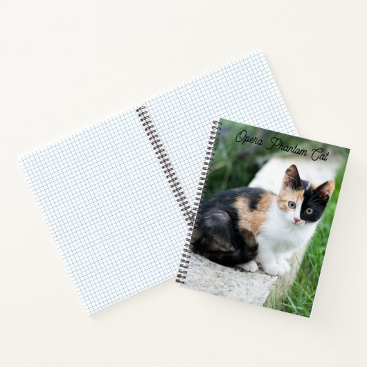 Carnet Opera Phantom Chat (Intérieur)