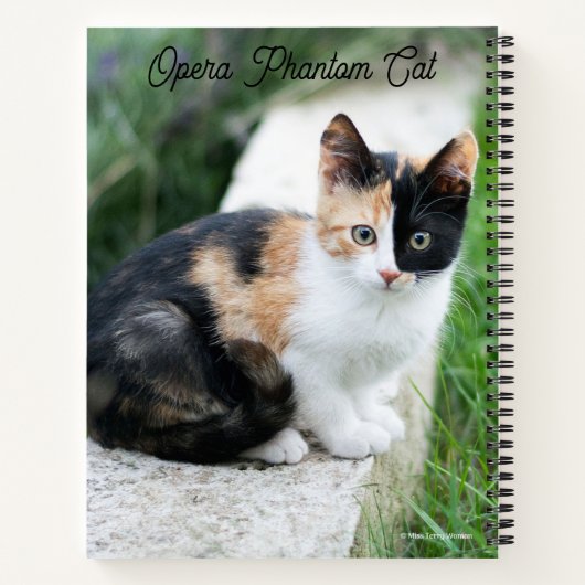 Carnet Opera Phantom Chat (Dos)