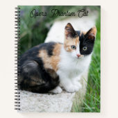 Carnet Opera Phantom Chat (Devant)