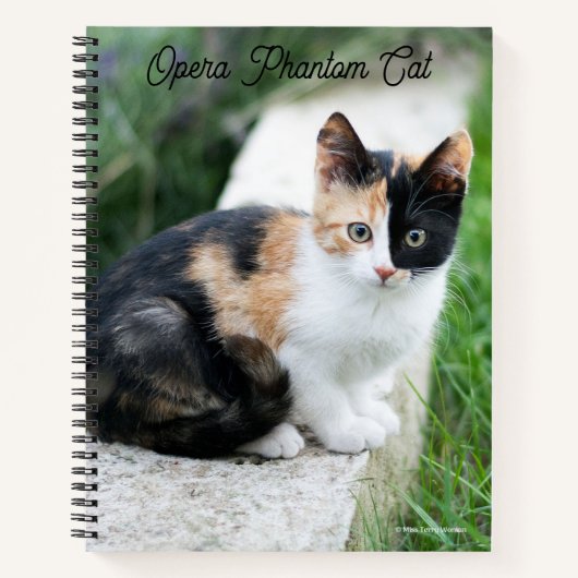 Carnet Opera Phantom Chat (Devant)