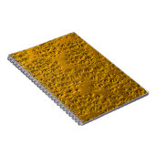 Carnet Or endommagé (Côté Droit)