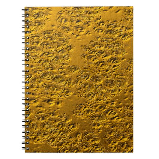 Carnet Or endommagé (Devant)