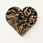Carnet Or Fireworks (Dos)