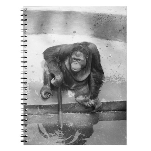 Carnet Orang-outan (Devant)