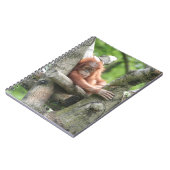 Carnet Orang-Utan (Côté gauche)