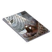 Carnet Orang-Utan (Côté Droit)