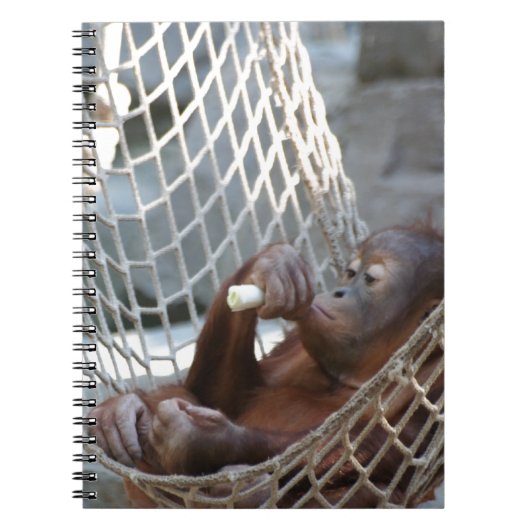 Carnet Orang-Utan (Devant)