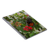 CARNET ORANGE BUTTERFLY (Côté Droit)