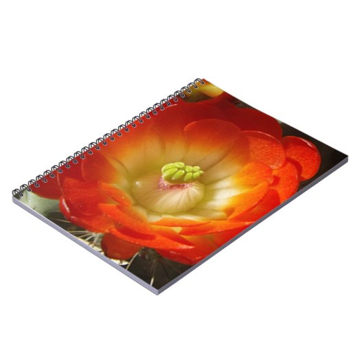 Carnet Orange-Cactus (Côté gauche)