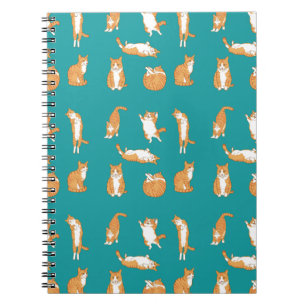 Carnet Orange Cats Funny