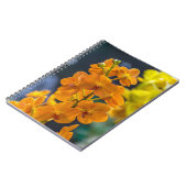 Carnet orange d'orchidées (Côté gauche)