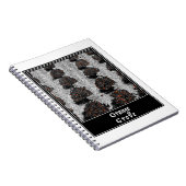 Carnet Orange Grove (Côté Droit)
