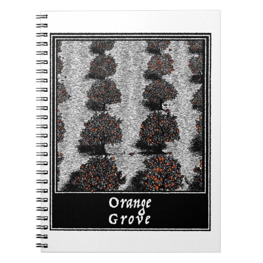 Carnet Orange Grove (Devant)