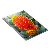 Carnet Orange Guzmania Conifera Flore tropicale (Côté Droit)