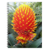Carnet Orange Guzmania Conifera Flore tropicale (Devant)