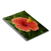 Carnet Orange Hibiscus Fleur Tropical Floral (Côté Droit)