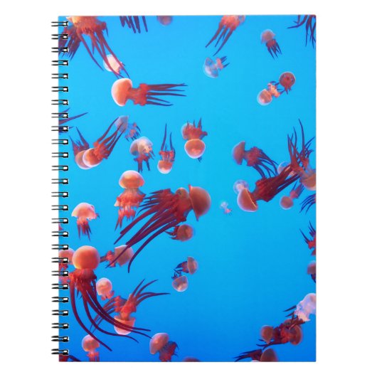 CARNET ORANGE JELLY FISH (Devant)
