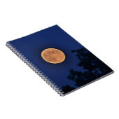 Carnet Orange Moon (Côté Droit)