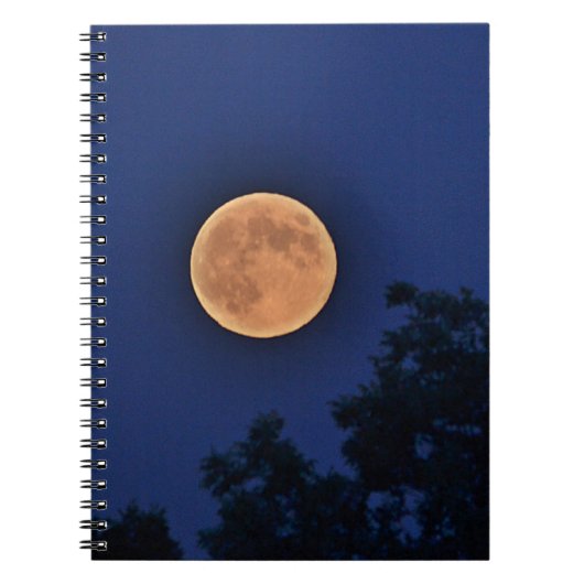 Carnet Orange Moon (Devant)