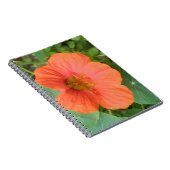 Carnet Orange Nasturtium (Côté Droit)