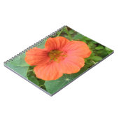 Carnet Orange Nasturtium (Côté gauche)