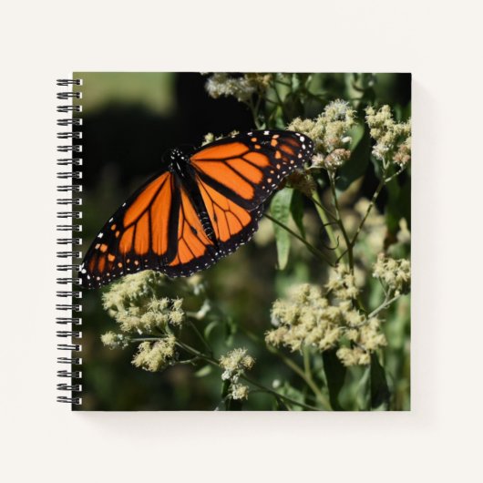 Carnet Orange Noir Monarque Papillon Nature Photographie (Devant)