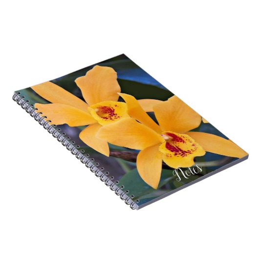 Carnet Orange Orchidée fleurit (Côté Droit)