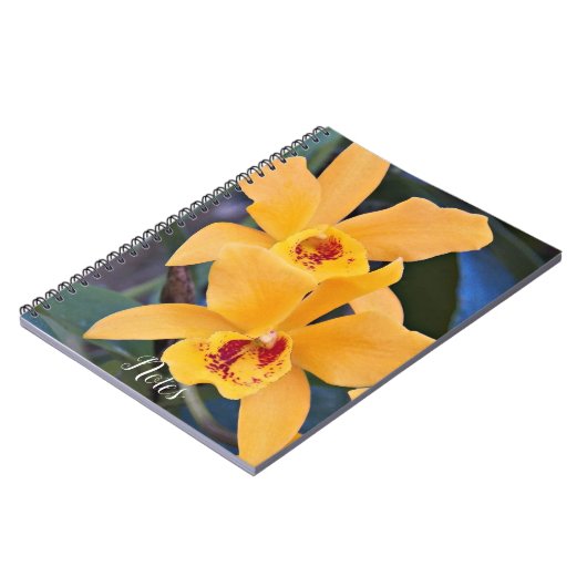 Carnet Orange Orchidée fleurit (Côté gauche)