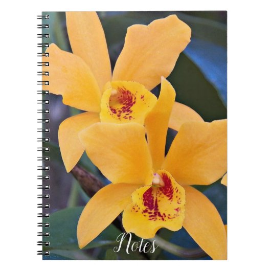 Carnet Orange Orchidée fleurit (Devant)