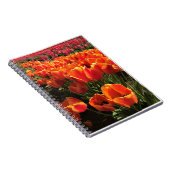 Carnet Orange & Red Tulips (Côté Droit)