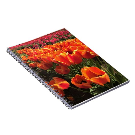Carnet Orange & Red Tulips (Côté Droit)