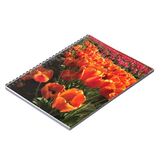 Carnet Orange & Red Tulips (Côté gauche)