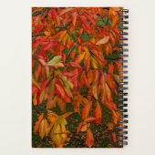 Carnet Orange Sourwood Automne Feuilles Botanique (Verso)