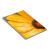 Carnet Orange Spring Flash African Daisy Gros plan Photo (Côté Droit)