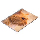 Carnet Orange Tabby Cat Notebook Curious Feline Notebook (Côté gauche)