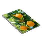Carnet Oranger en fruits (Côté Droit)