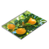 Carnet Oranger en fruits (Côté gauche)