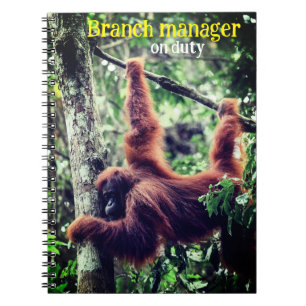 Carnet Orangoutan suspendu dans l'arbre