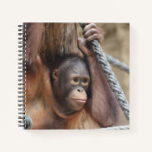 Carnet OrangUtan 002 (Devant)