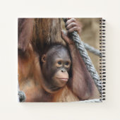 Carnet OrangUtan 002 (Dos)