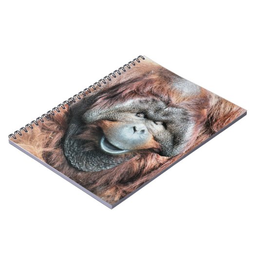 CARNET ORANGUTANS (Côté gauche)