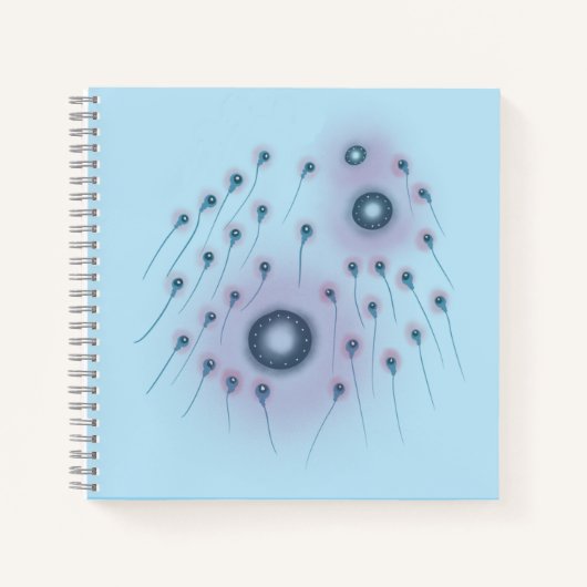 Carnet Orbus Ovulum (Devant)