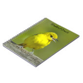 Carnet Orchard Oriole - Photo originale (Côté gauche)