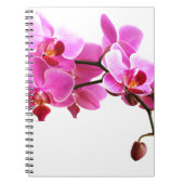 Carnet Orchidée (Devant)