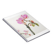 Carnet Orchidée (Côté Droit)